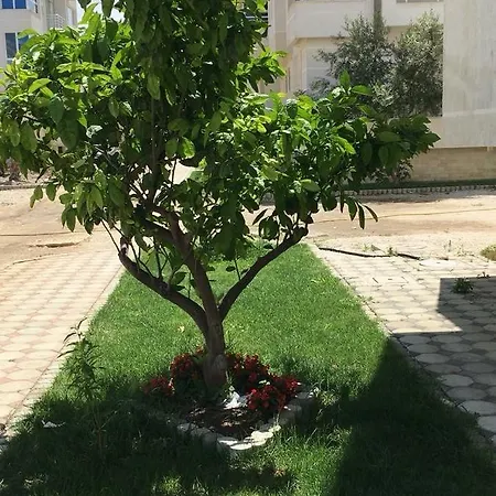 Holiday House *